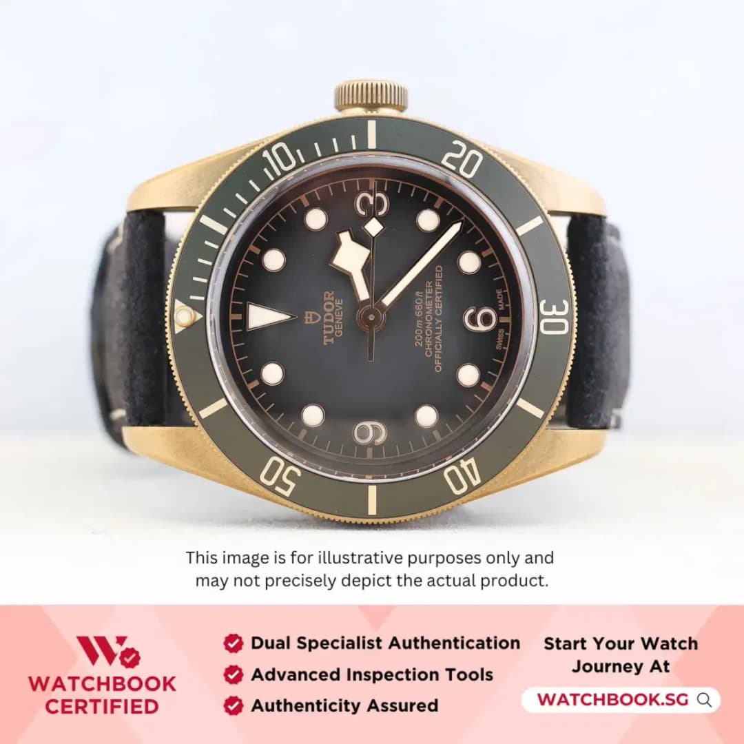 Tudor Black Bay Bronze 79250BA Grey