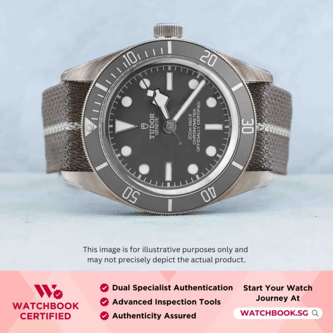 Tudor Black Bay 58 79010SG Grey